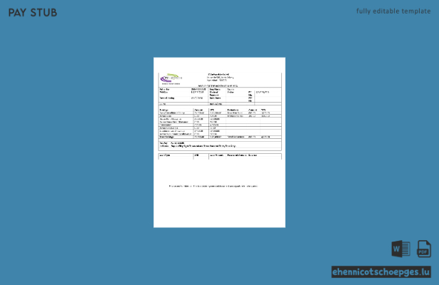 ITC Infotech Gehaltsabrechnungsbeispiel (Vorschau)